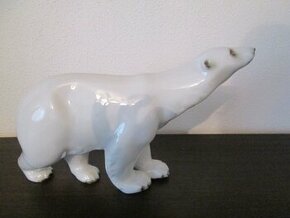 ROYAL DUX - Ľadový medveď