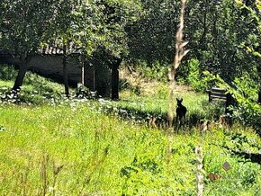 Hospodárska usadlosť v blízkosti Aquatermal, Dolná Strehová