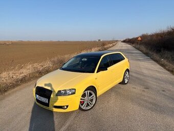 Audi A3(8P) Sportback 1.9TDI