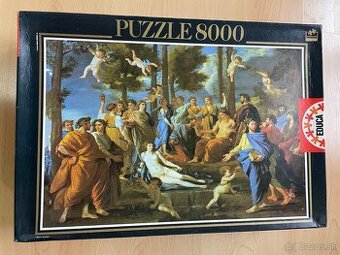 Puzzle znacky EDUCA 8000ks