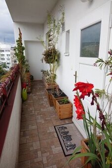 Large renovated 1-room apartment in an excellent location