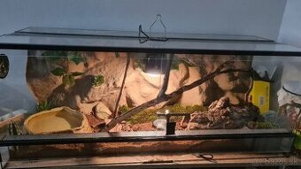 Terarium 100x40x40cm