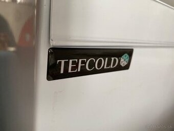 Tefcold mraziak - 1