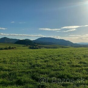 Pozemok Záborie 1100m2