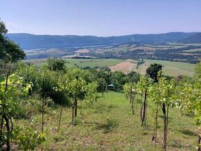 Rekreačný pozemok, Hrušov, Slovenský kras