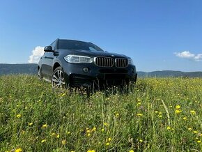 BMW X6 xDrive 40d, F16 3.0 Diesel, 230 kW