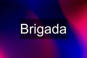 BRIGADA - Roznos letákov