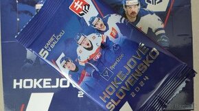 Hokejové Slovensko