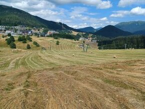 Poľnohospodárske služby