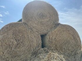 Darujem okruhle slamene baliky