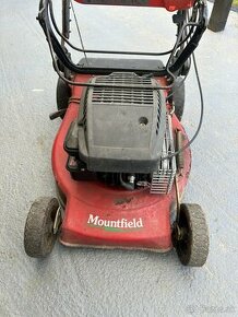 Motor Briggs & Stratton