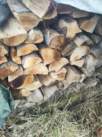Palivové drevo mäkké tvrdé metrovica klatiky - 1