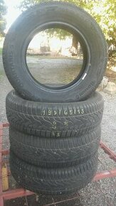 195/65r15 celoročné