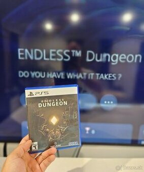 Endless Dungeon PS5