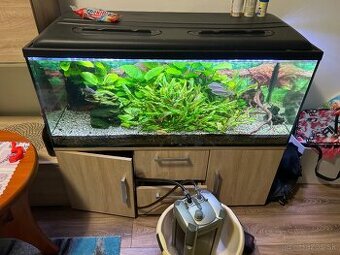 predam akvarium 50x50x120 svetlo aj skrinka vsetko