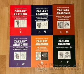 Základy anatomie