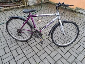 Dámsky a pánsky bicykel