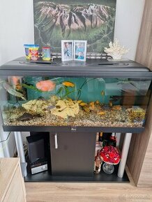 Akvarium 120x50x50