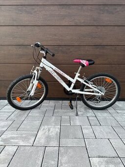 Detský bicykel Avigo 20"