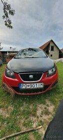 Seat ibiza copa