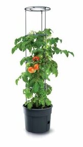 Špeciálne kvetináče na pestovanie paradajok (+ darček)