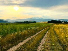 Rudňany – 1.750 m2 ORNÁ PÔDA a LES - Na predaj