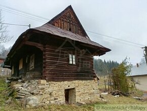 Drevenica v okrajovej časti obce Lutiše