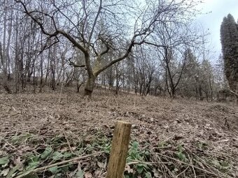 Predám pozemok priamo v Bardejove Vinbarg