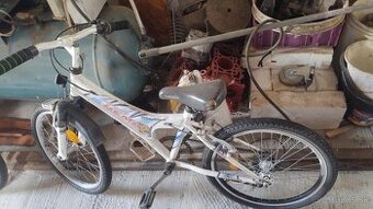 Detský bicykel 20 " s prehadzovačom