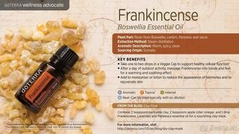 Esenciálny olej DōTERRA Frankincense/Kadidlo 15ml