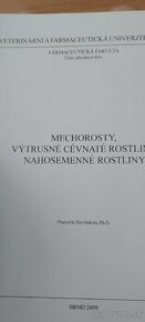 Mechororsty, výtrusné cévnaté rostliny, nahosemenné rostliny