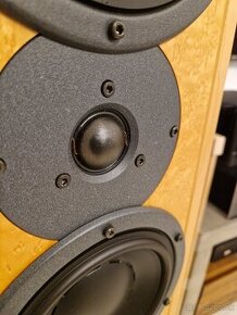 Dynaudio Contour T2.5