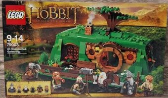 LEGO Hobbit: The unexpected gathering (79003)