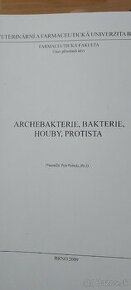 Archebakterie, bakterie, houby, protista