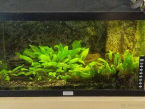 Akvarium juwel 48l