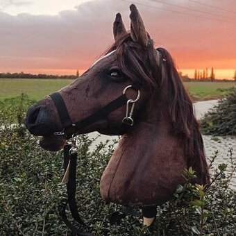 Hobby horse Chocolate s ohlávkou a oťažami