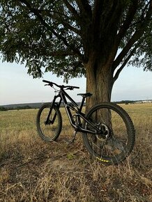 Canyon torque 29 cf 7 enduro horský bicykel