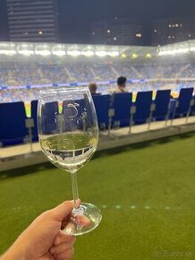 VIP Šk Slovan - AC Milano