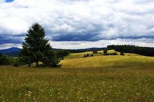 Pozemok Koreňova Čierny Balog