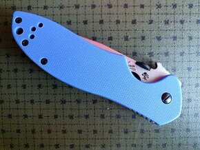 Kershaw trainer