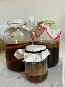 Kombucha