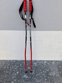 Palice Rossignol 110 cm