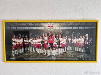 Obraz RedBull Salzburg futbalovy klub s podpismi