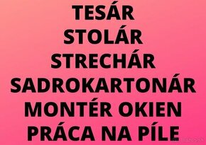 TESÁR - STOLÁR - STRECHÁR - SADROKARTONÁR - MONTÉR OKIEN