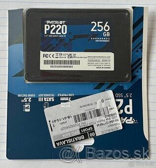 Patriot P220 256 GB