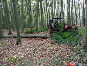 Zelezny kon Lkt timberjack bolgar bulgar - 1