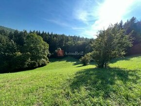 Slnečný rekreačný pozemok pod lesom- Zbora 4703m2 - 1