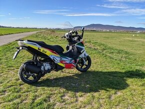 Aprilia SR max 125 - Malossi 218cc