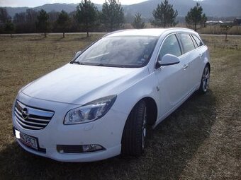 Opel Insignia OPC-Line V6 Turbo,2.8 4x4,191Kw.