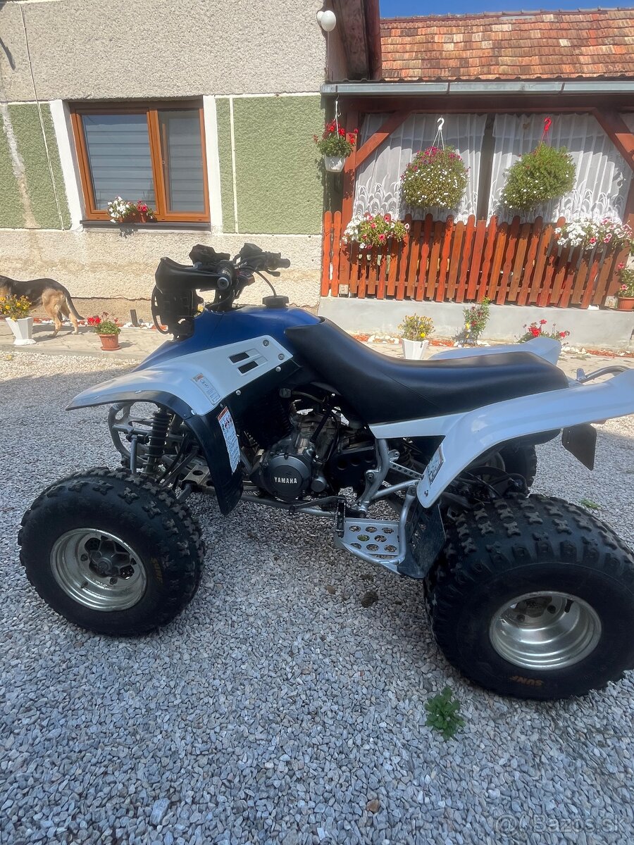 Yamaha warrior 350